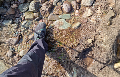 De las botas pesadas a la libertad descalza: mi camino con Saguaro #0015