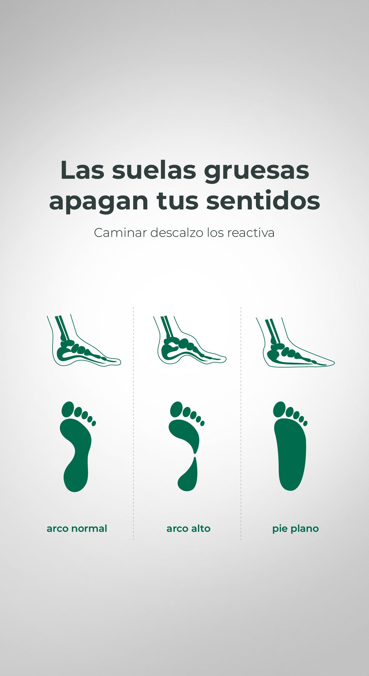 Saguaro Zapatos Barefoot